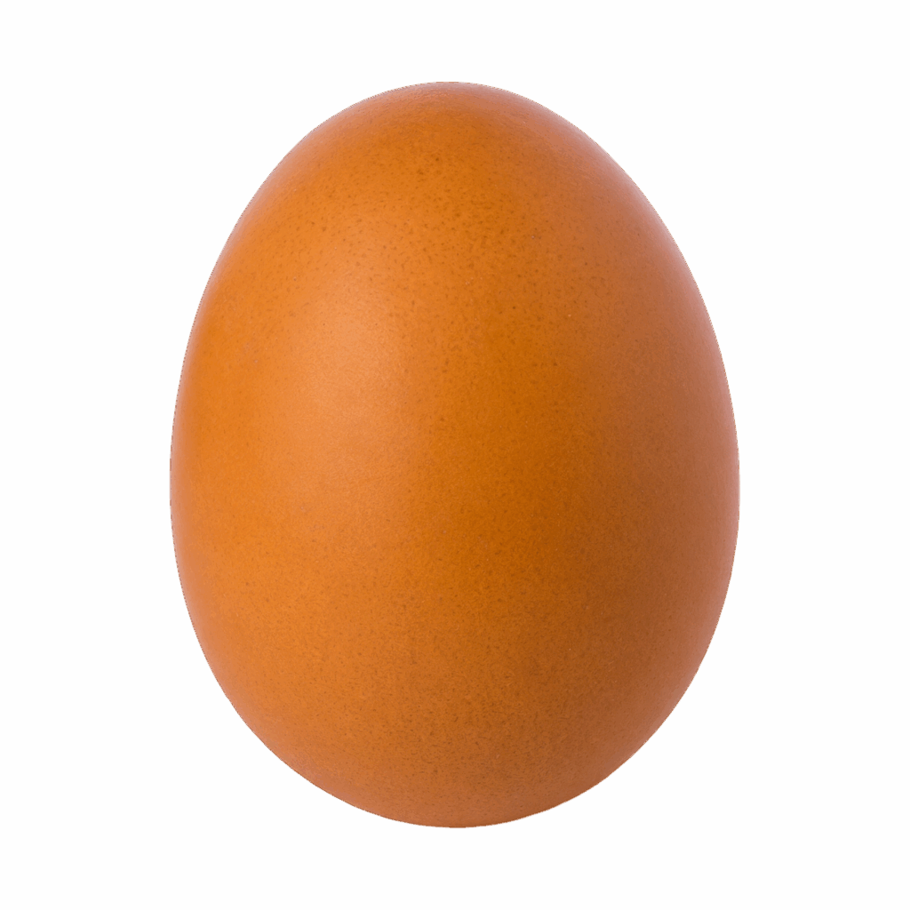 Brouwn Egg CC-0 Public Domain_akshay chauhan